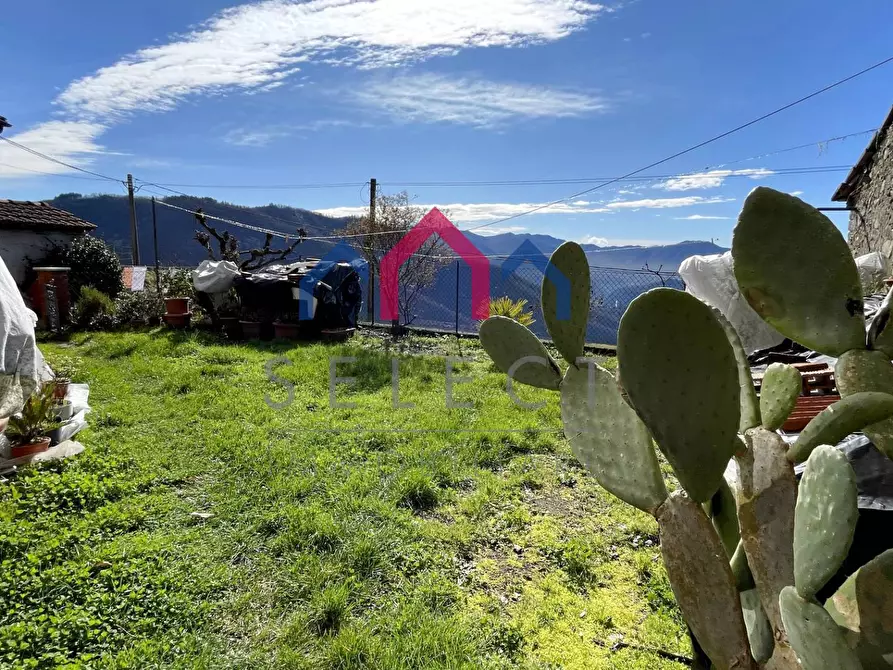Immagine 36 di Casa semindipendente in vendita  a Coreglia Antelminelli