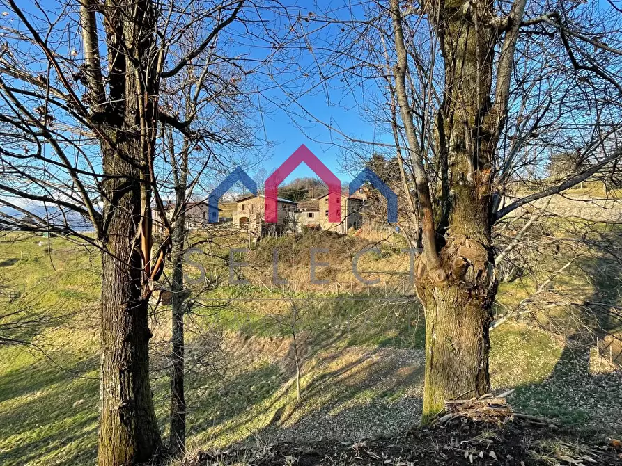 Immagine 49 di Casa semindipendente in vendita  a Molazzana