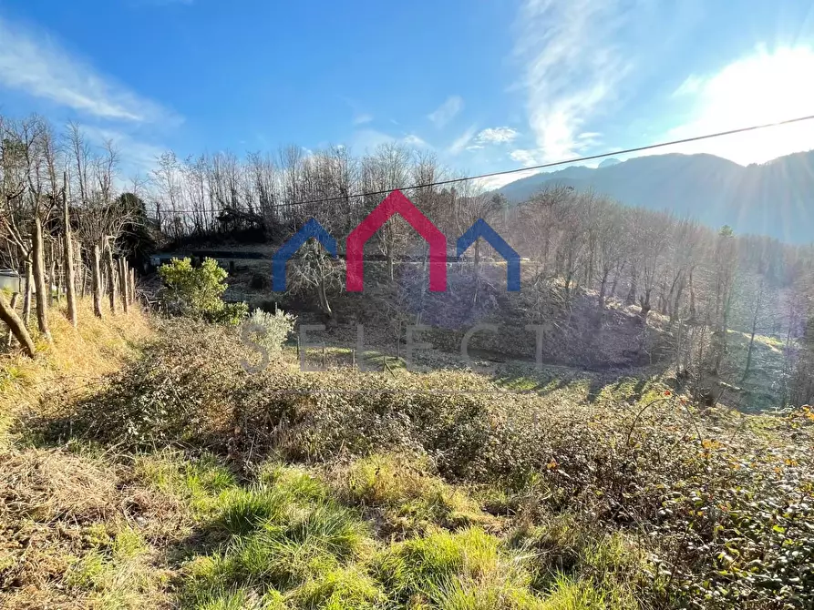 Immagine 41 di Casa semindipendente in vendita  a Molazzana