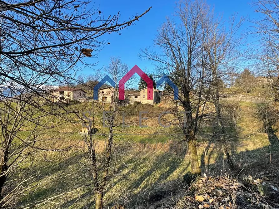 Immagine 15 di Casa semindipendente in vendita  a Molazzana