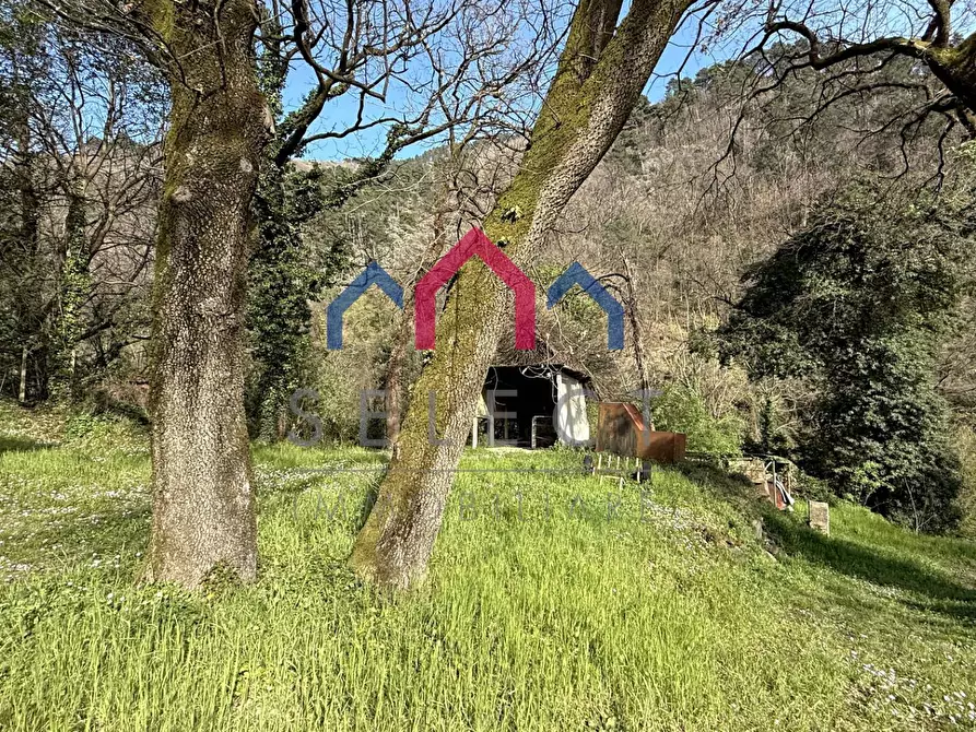 Immagine 44 di Casa indipendente in vendita  a Villa Basilica