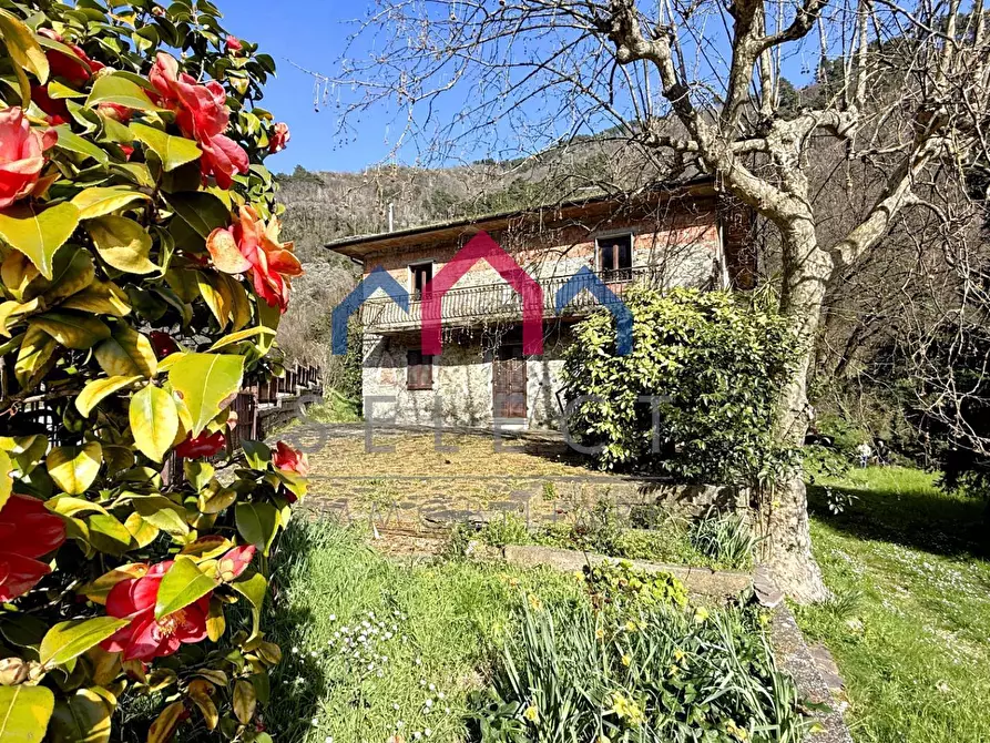 Immagine 2 di Casa indipendente in vendita  a Villa Basilica