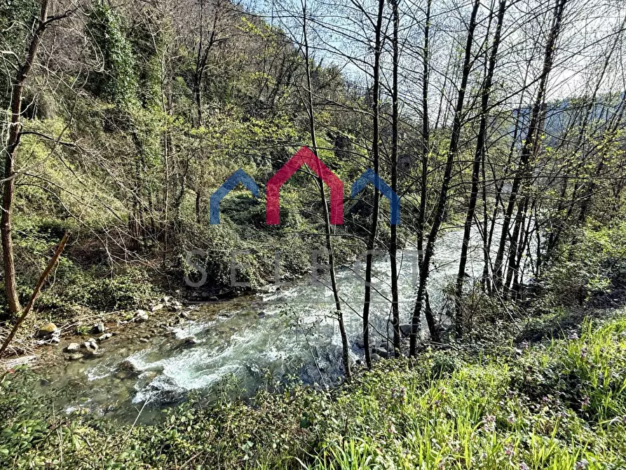 Immagine 3 di Casa indipendente in vendita  a Villa Basilica