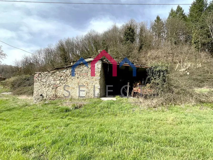 Immagine 7 di Rustico / casale in vendita  a Castiglione Di Garfagnana