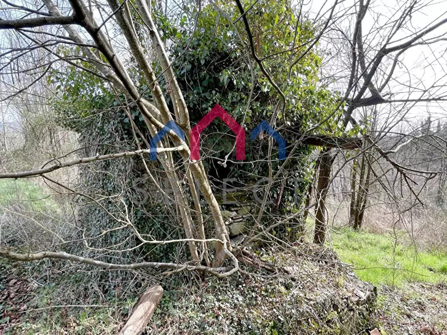 Immagine 36 di Rustico / casale in vendita  a Castiglione Di Garfagnana