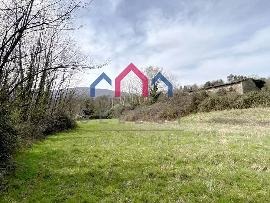Immagine 39 di Rustico / casale in vendita  a Castiglione Di Garfagnana