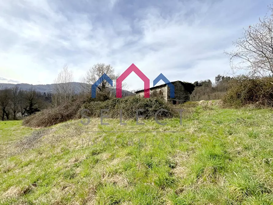 Immagine 22 di Rustico / casale in vendita  a Castiglione Di Garfagnana