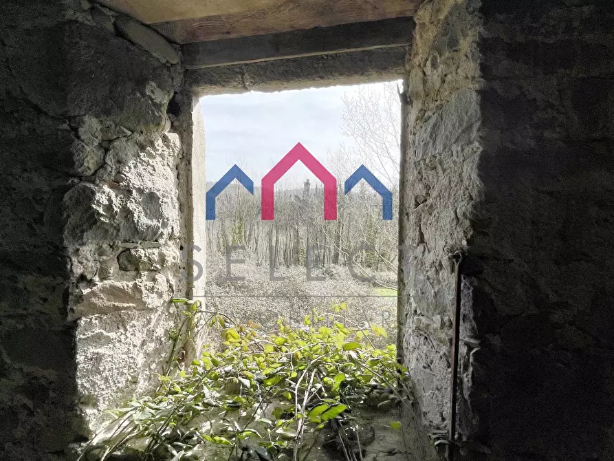 Immagine 6 di Rustico / casale in vendita  a Castiglione Di Garfagnana