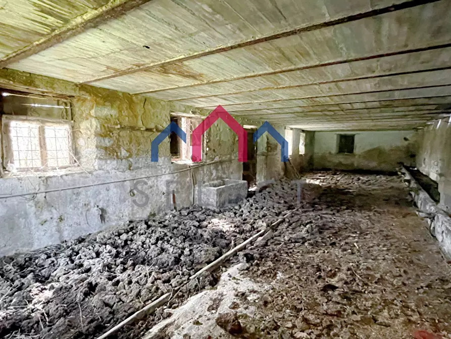 Immagine 15 di Rustico / casale in vendita  a Castiglione Di Garfagnana