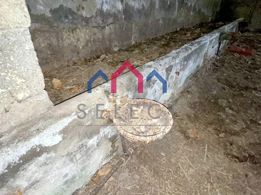 Immagine 16 di Rustico / casale in vendita  a Castiglione Di Garfagnana