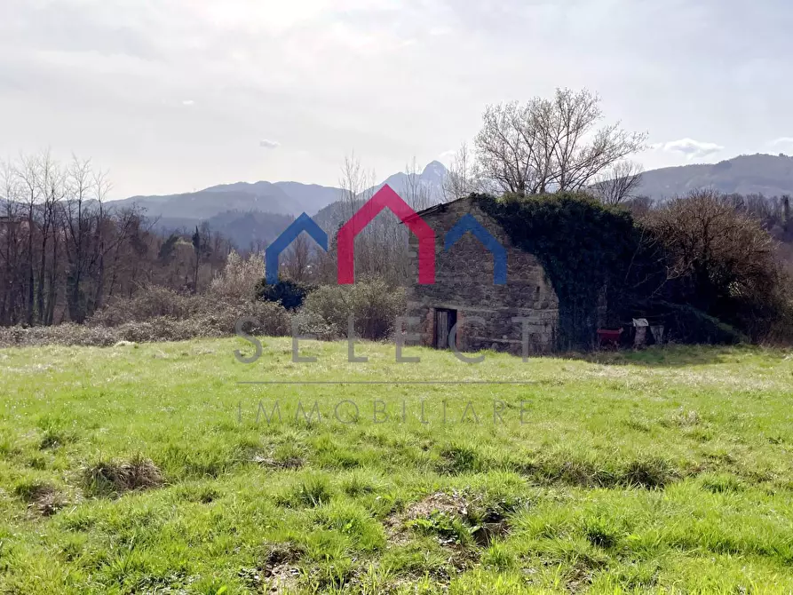 Immagine 19 di Rustico / casale in vendita  a Castiglione Di Garfagnana