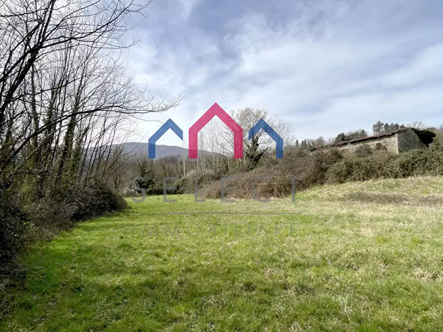 Immagine 23 di Rustico / casale in vendita  a Castiglione Di Garfagnana