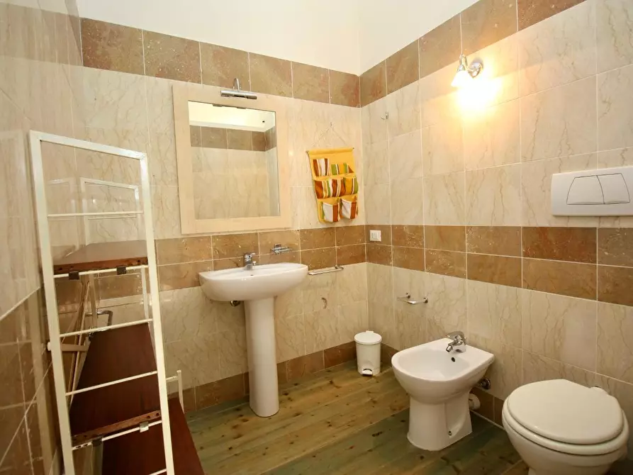 Immagine 12 di Appartamento in affitto  a Pisa