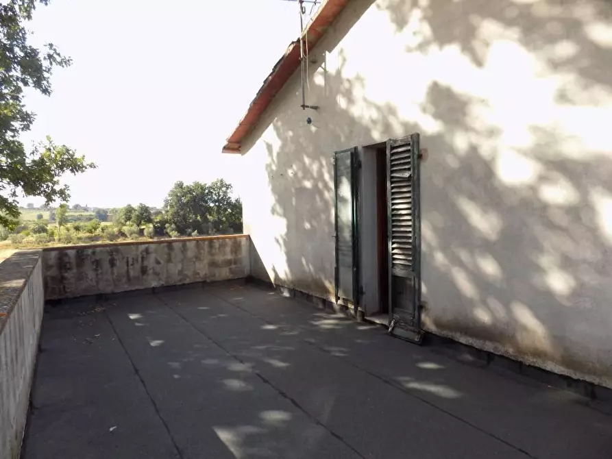 Immagine 9 di Terratetto in vendita  a Vinci