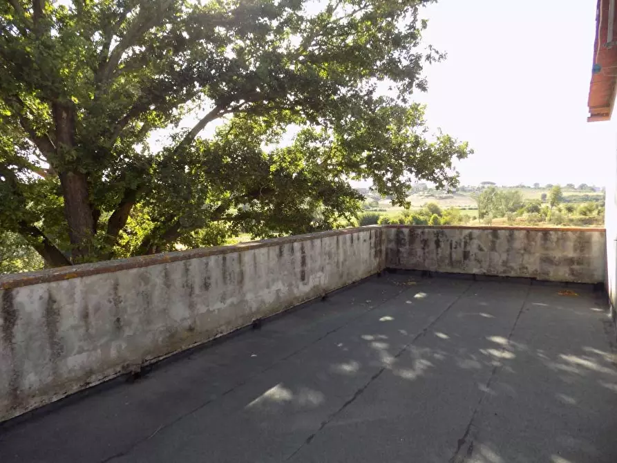 Immagine 8 di Terratetto in vendita  a Vinci