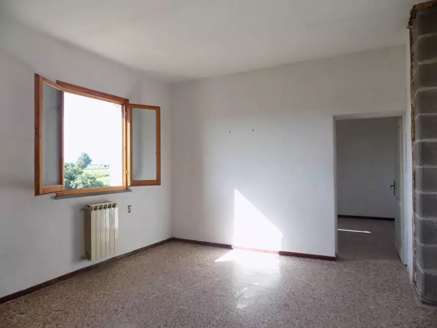 Immagine 4 di Terratetto in vendita  a Vinci