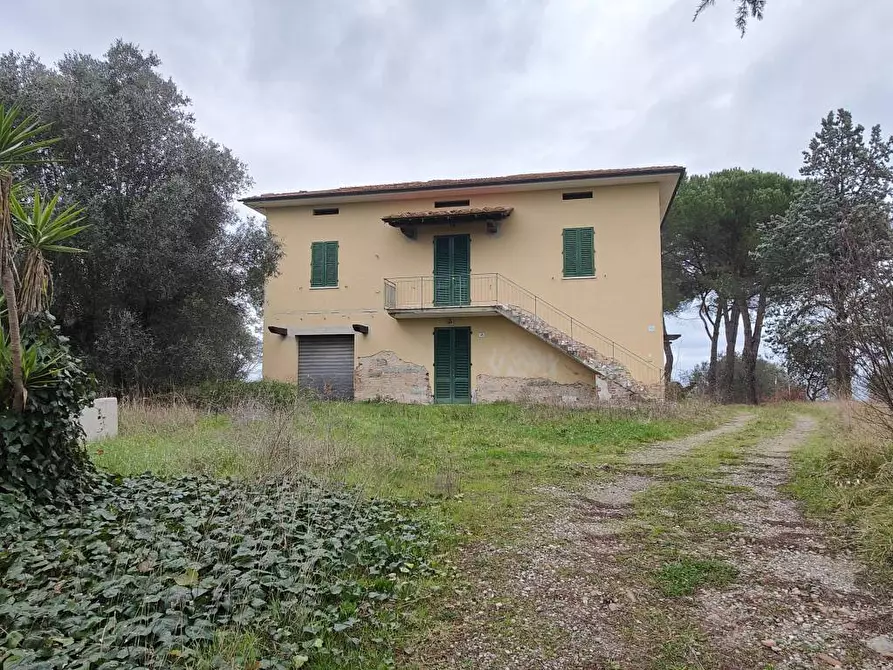 Immagine 7 di Villa in vendita  a Fucecchio