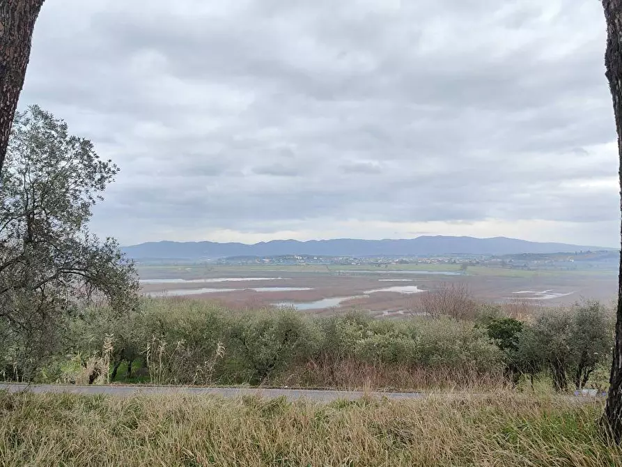 Immagine 9 di Villa in vendita  a Fucecchio