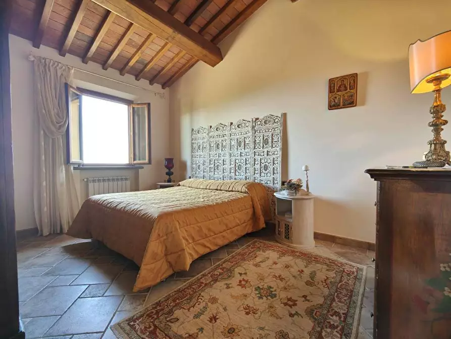 Immagine 21 di Casa colonica in vendita  a Palaia