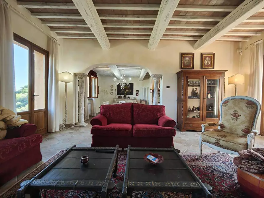 Immagine 2 di Casa colonica in vendita  a Palaia