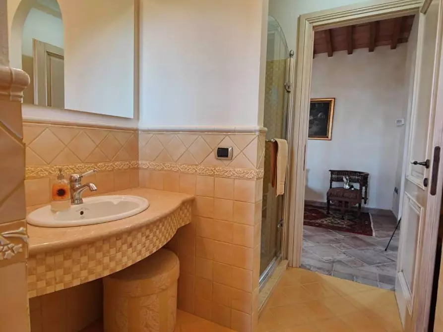 Immagine 15 di Casa colonica in vendita  a Palaia