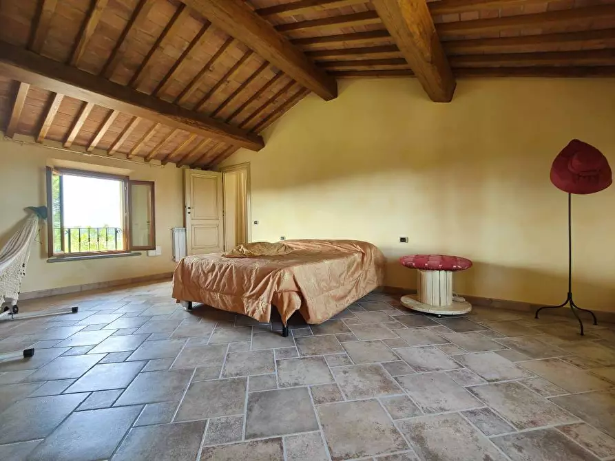 Immagine 23 di Casa colonica in vendita  a Palaia