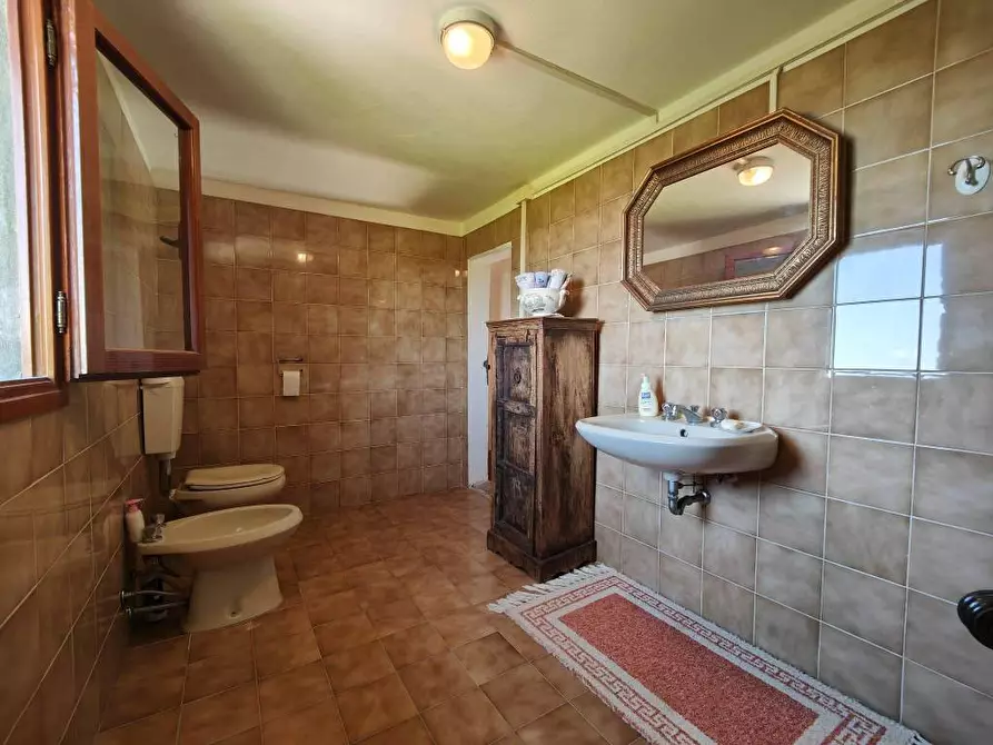 Immagine 30 di Casa colonica in vendita  a Palaia