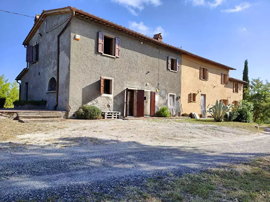 Immagine 40 di Casa colonica in vendita  a Palaia
