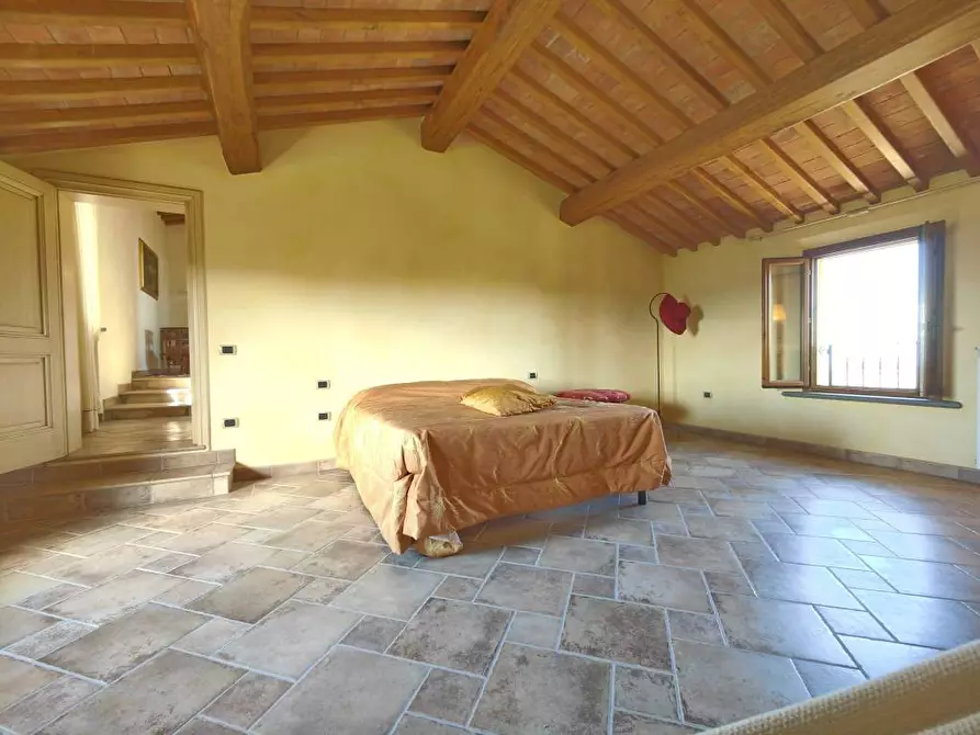 Immagine 22 di Casa colonica in vendita  a Palaia