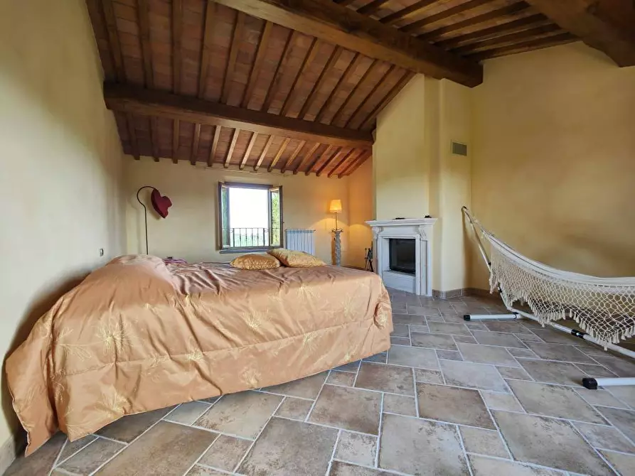 Immagine 24 di Casa colonica in vendita  a Palaia