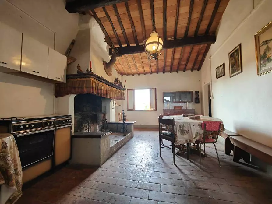 Immagine 35 di Casa colonica in vendita  a Palaia