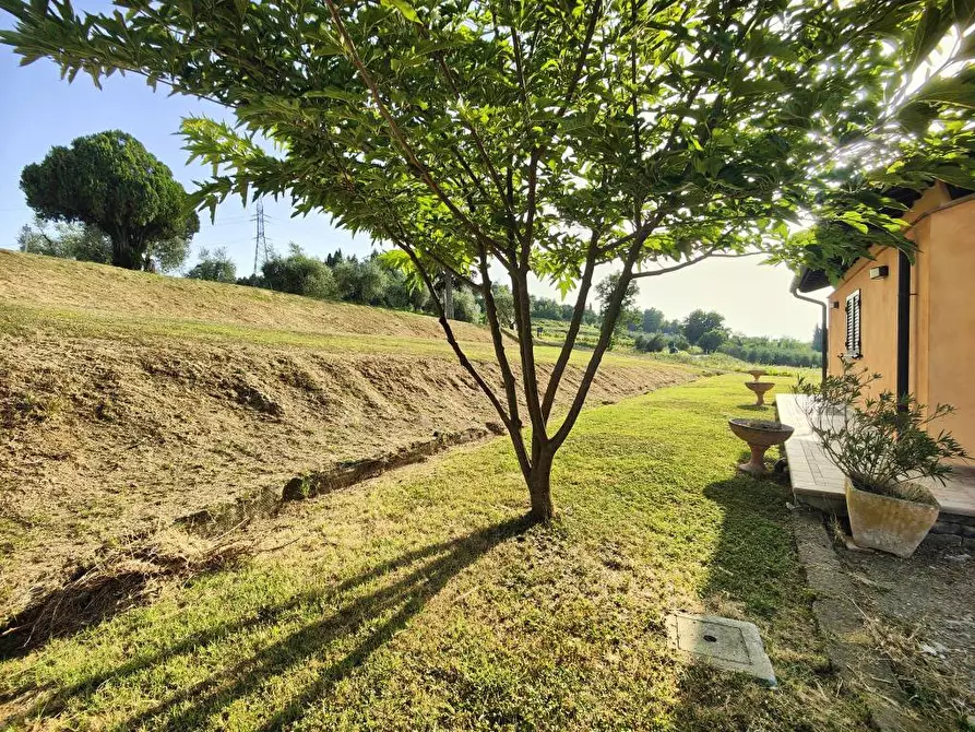 Immagine 39 di Villa in vendita  a San Miniato