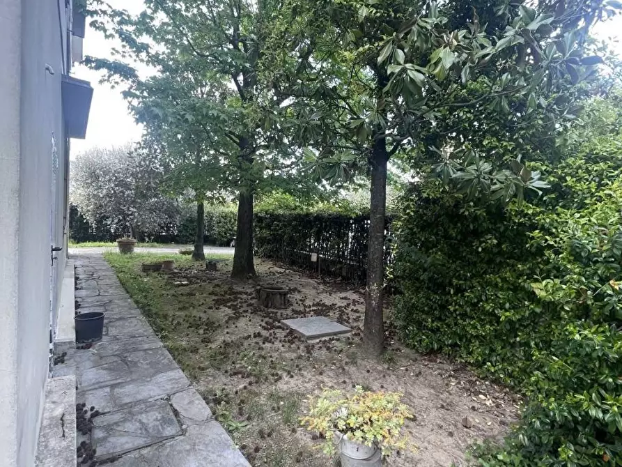 Immagine 35 di Appartamento in vendita  a Fucecchio