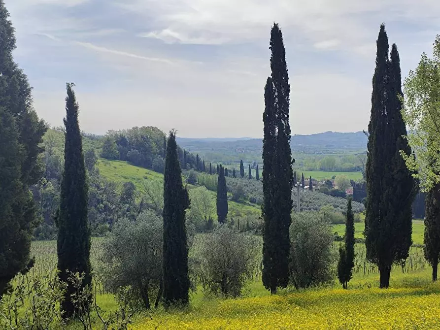 Immagine 8 di Villa in vendita  a Cerreto Guidi
