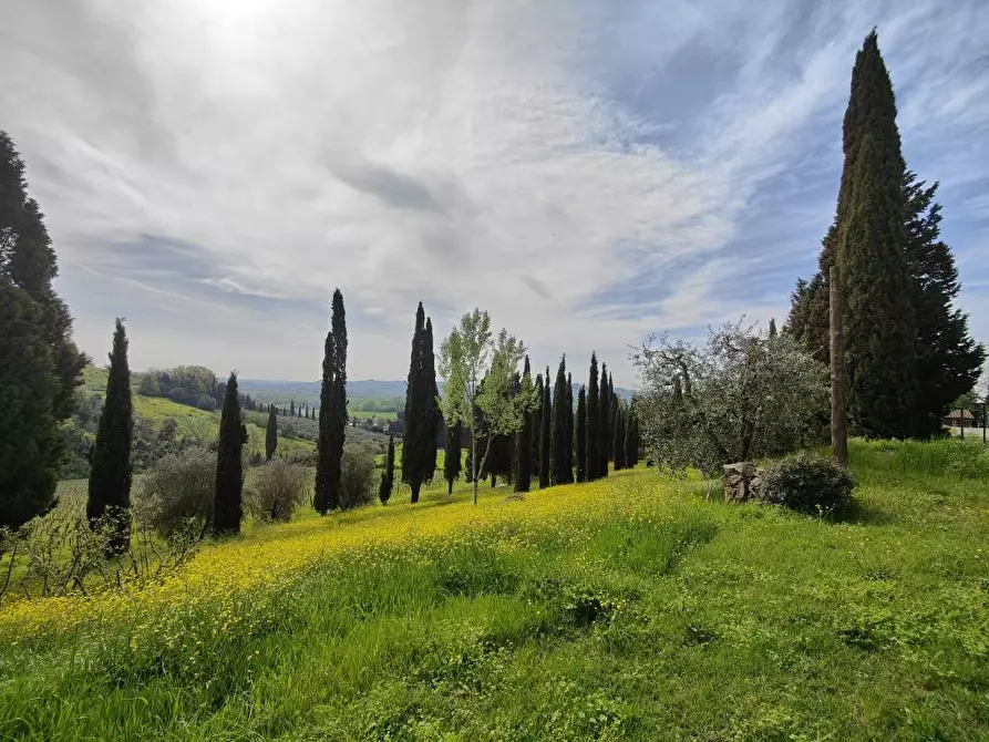 Immagine 9 di Villa in vendita  a Cerreto Guidi