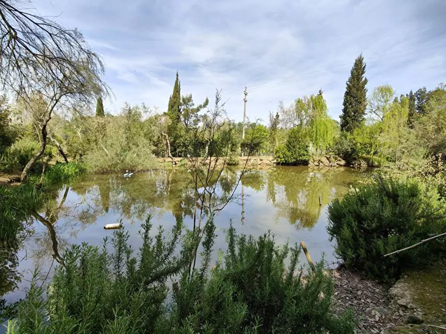 Immagine 24 di Villa in vendita  a Cerreto Guidi