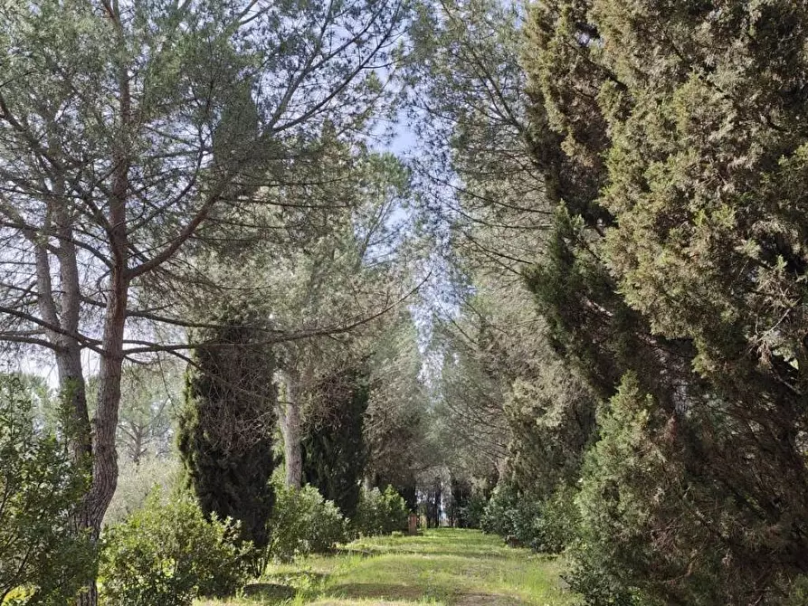 Immagine 5 di Villa in vendita  a Cerreto Guidi