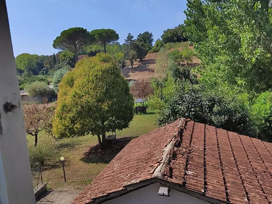 Immagine 14 di Terratetto in vendita  a Fucecchio