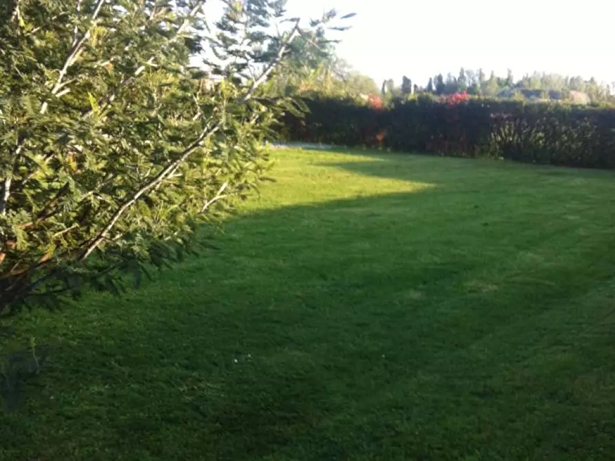 Immagine 6 di Terreno residenziale in vendita  a Fucecchio