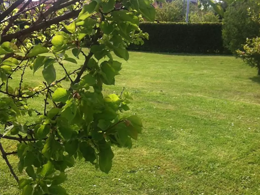 Immagine 5 di Terreno residenziale in vendita  a Fucecchio