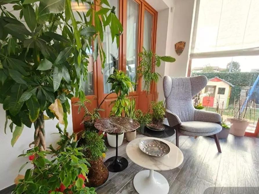 Immagine 11 di Terratetto in vendita  a Santa Croce Sull'arno