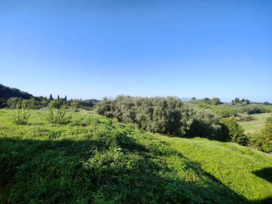 Immagine 11 di Villa in vendita  a Fucecchio