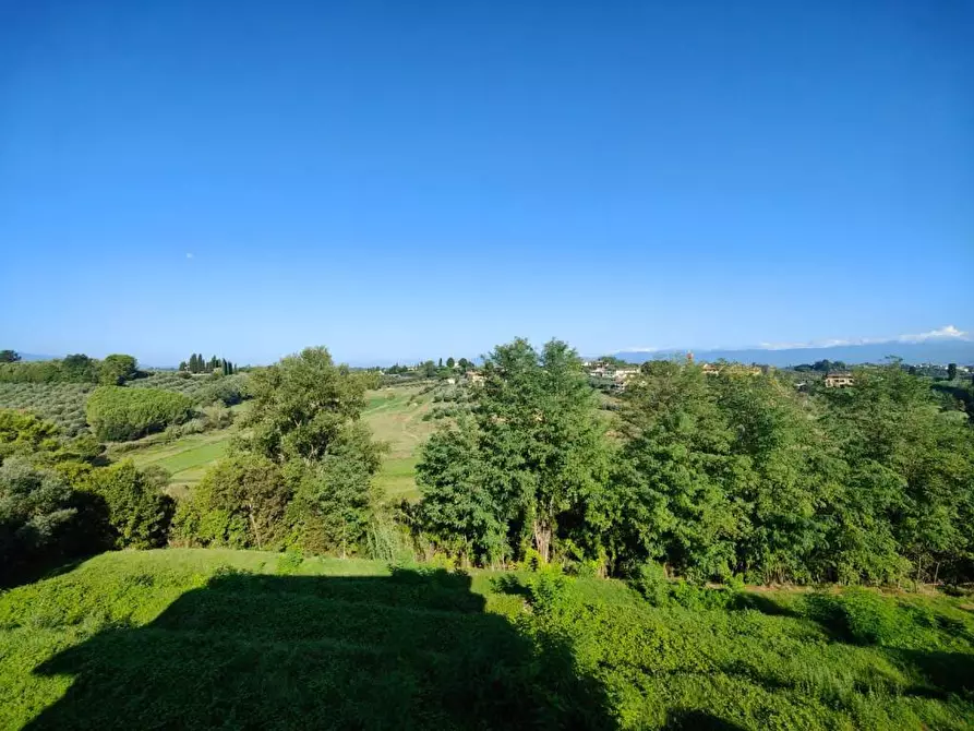 Immagine 14 di Villa in vendita  a Fucecchio