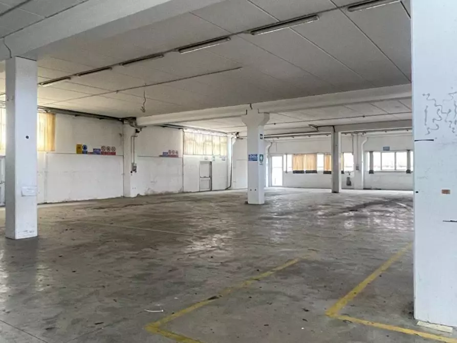 Immagine 17 di Capannone industriale in vendita  a San Miniato