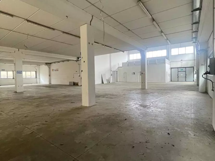 Immagine 16 di Capannone industriale in vendita  a San Miniato