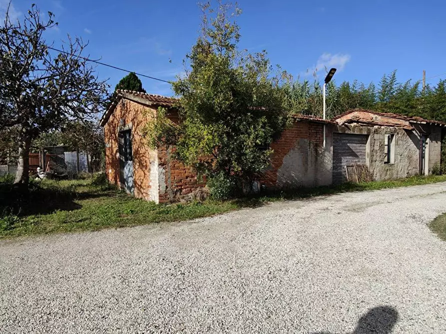 Immagine 14 di Terratetto in vendita  a Cerreto Guidi