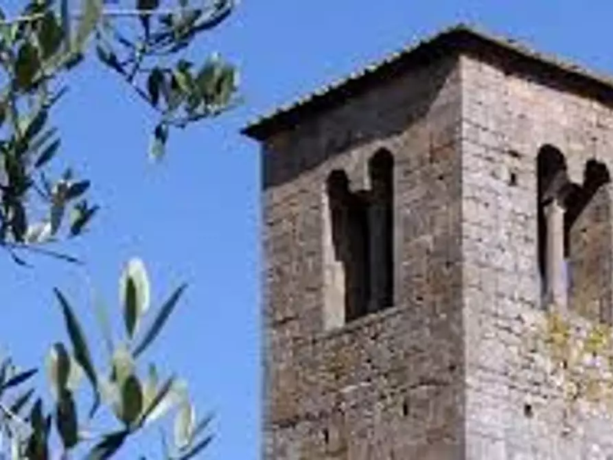 Immagine 15 di Rustico / casale in vendita  a Altopascio