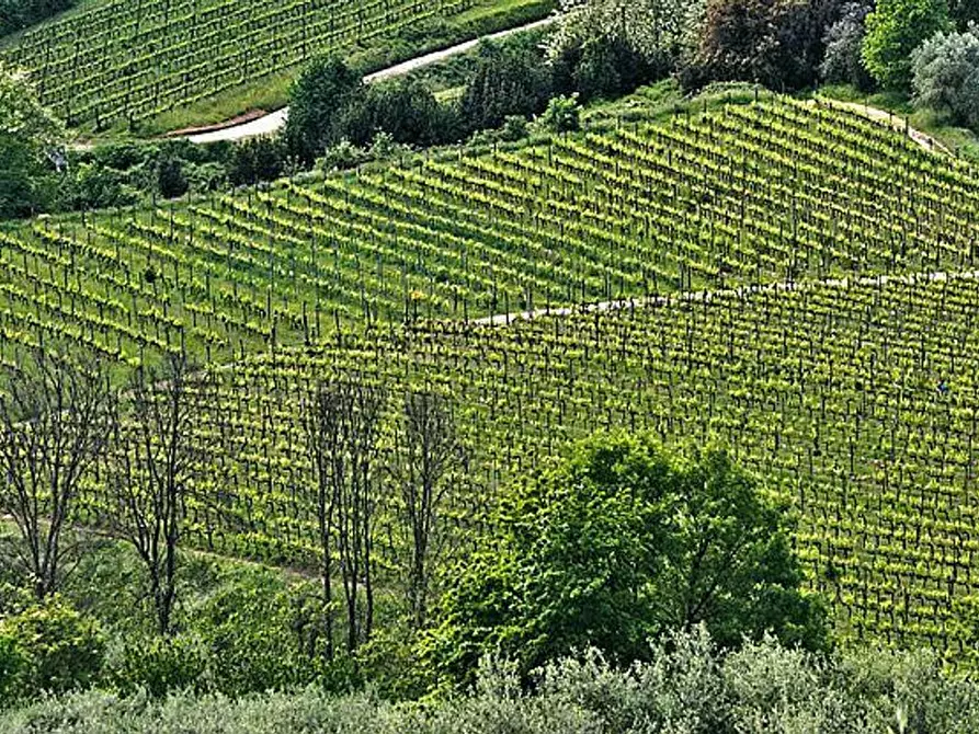 Immagine 26 di Rustico / casale in vendita  a Altopascio