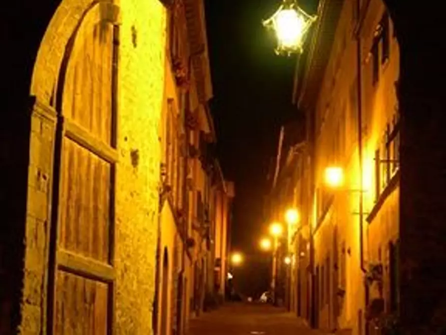 Immagine 24 di Rustico / casale in vendita  a Altopascio