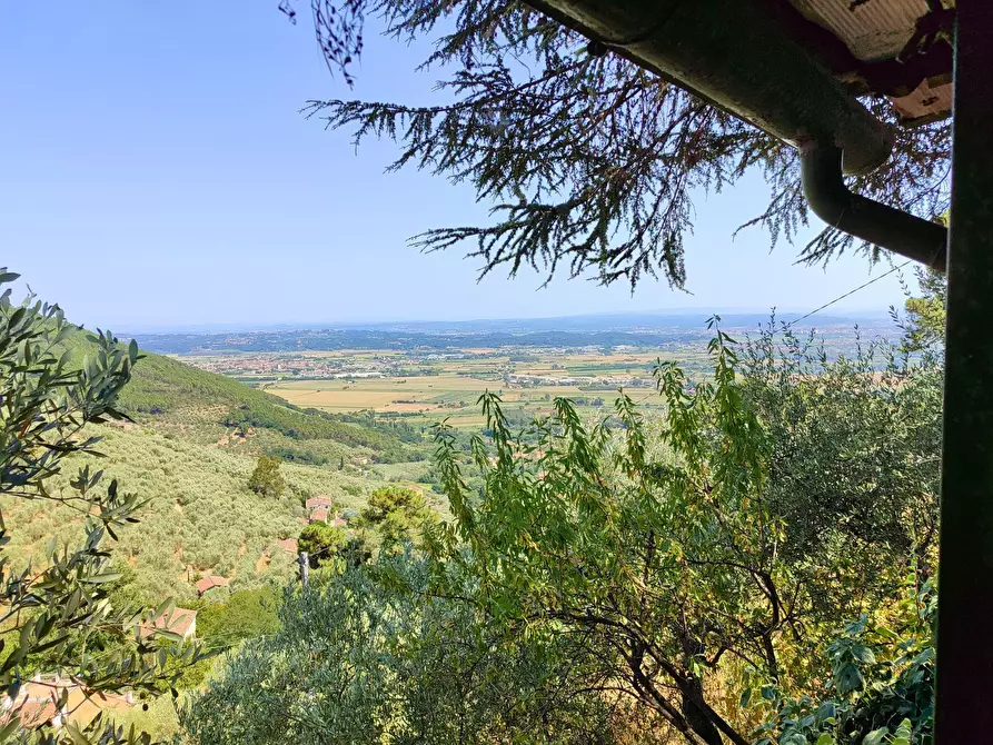 Immagine 3 di Baita in vendita  a Vicopisano